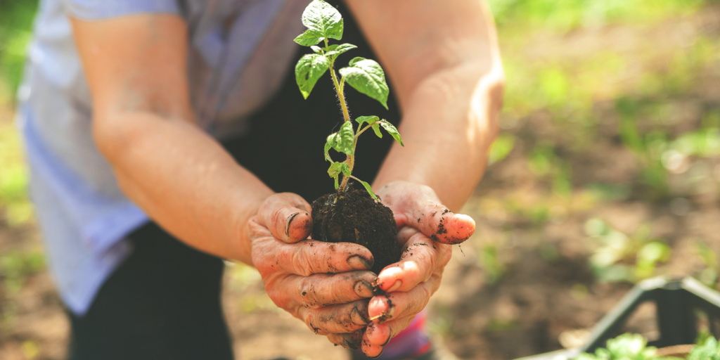 Agriculture Organization Modernizes D365 Security Through a Fully Automated License and Remediation Pilot